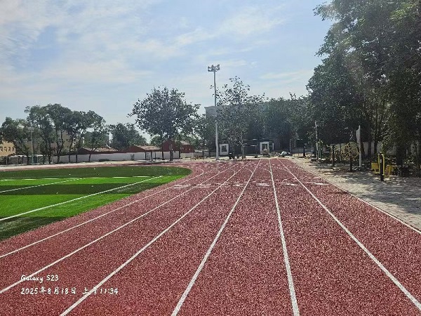 大武口第十二小学 (12).jpg