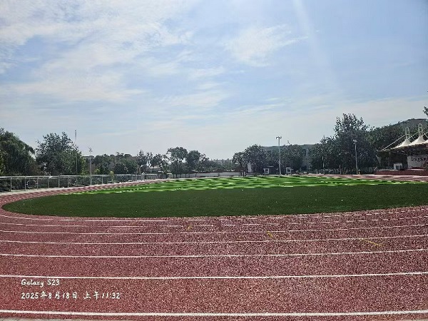 大武口第十二小学 (11).jpg