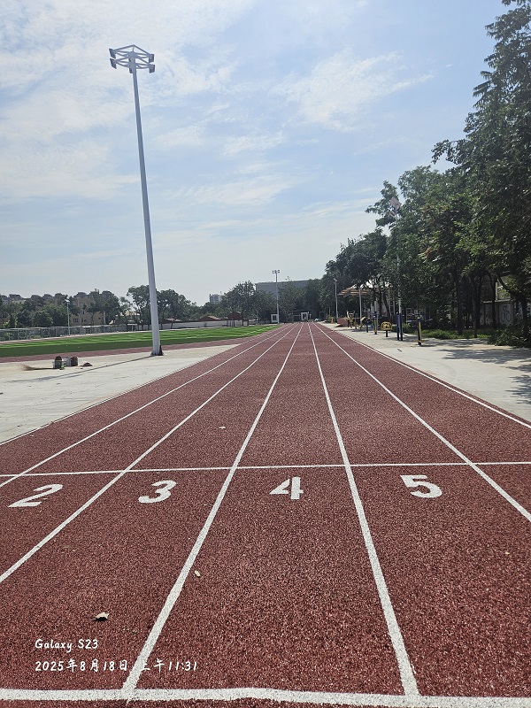 大武口第十二小学 (13).jpg